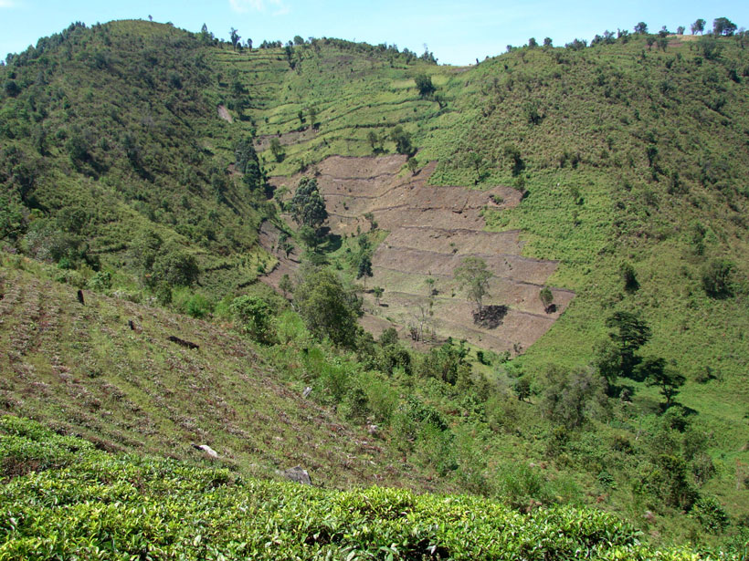 Terraced hillsides in Uganda