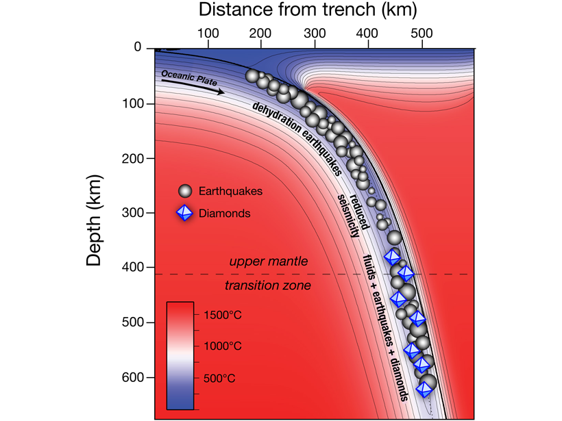 Figure showing a thermal model of a subduction zone with the relatively cold (blue) oceanic plate sinking into the comparatively hot (red) mantle.