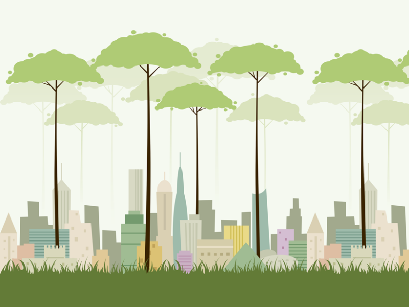 Growing Equity in City Green Space