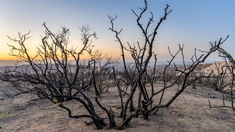Devil's Punchbowl area in California burned during the 2020 Bobcat Fire. Devil's Punchbowl area in California burned during the 2020 Bobcat Fire.