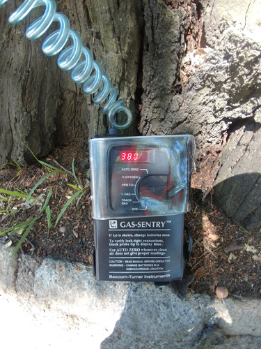 A rectangular black instrument labeled “Gas-Sentry™” connected to a spiral cord leading out of frame nestles at the trunk of a tree. On the box, a window displays “38.0” in glowing red. A rectangular black instrument labeled “Gas-Sentry™” connected to a spiral cord leading out of frame nestles at the trunk of a tree. On the box, a window displays “38.0” in glowing red.