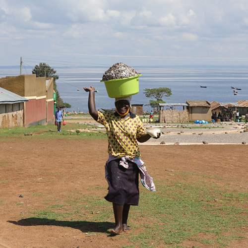 A smiling woman carrying a large basket of fish on her head walks away from Lake Victoria.