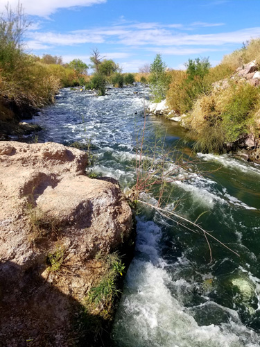 Ducks swim in a rushing river. Ducks swim in a rushing river.