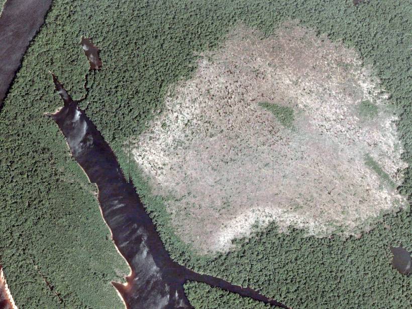 Satellite image of the Rio Negro floodplain forest, with a prominent white burn scar