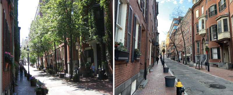Photos taken in 2010 and 2021 show changes in trees on Temple Street in Boston Photos taken in 2010 and 2021 show changes in trees on Temple Street in Boston