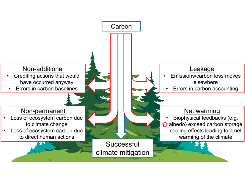 Figure showing key requirements for making forest-based natural climate solutions successful for climate mitigation, with examples of potential pitfalls are shown for each category.