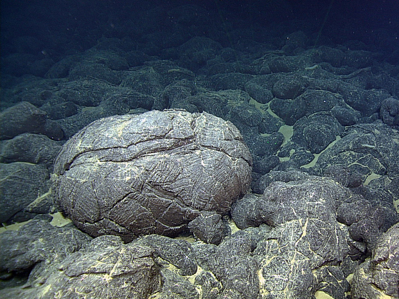 Lava that erupted from the Juan de Fuca Ridge formed these pillow and sheet flow basaltic rocks on the seafloor off the coast of Oregon.