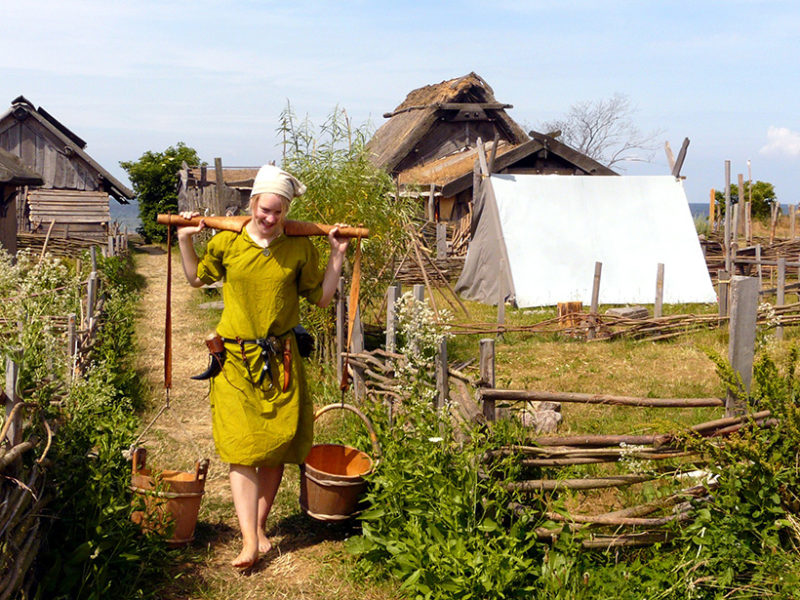 Food Security Lessons from the Vikings