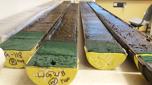 Mud cores in the lab Mud cores in the lab
