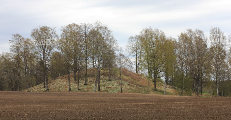 Photo of Rakni’s mound, one of the largest barrows in Europe. Photo of Rakni’s mound, one of the largest barrows in Europe.