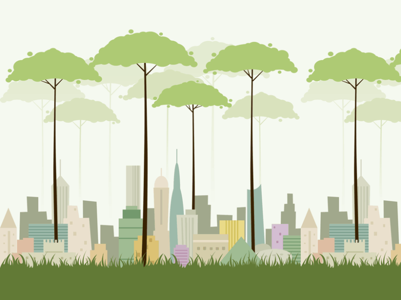 Aumento de la equidad en los espacios verdes de la ciudad