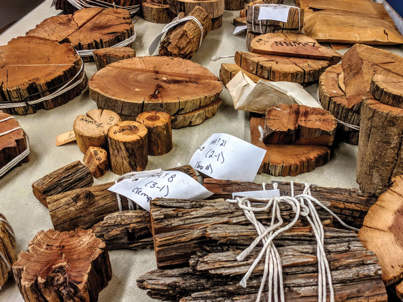 Wood samples in stacks or bundled with twine are spread across a surface.