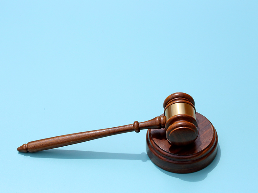 A dark wooden gavel rests on a sound block on a light blue background.