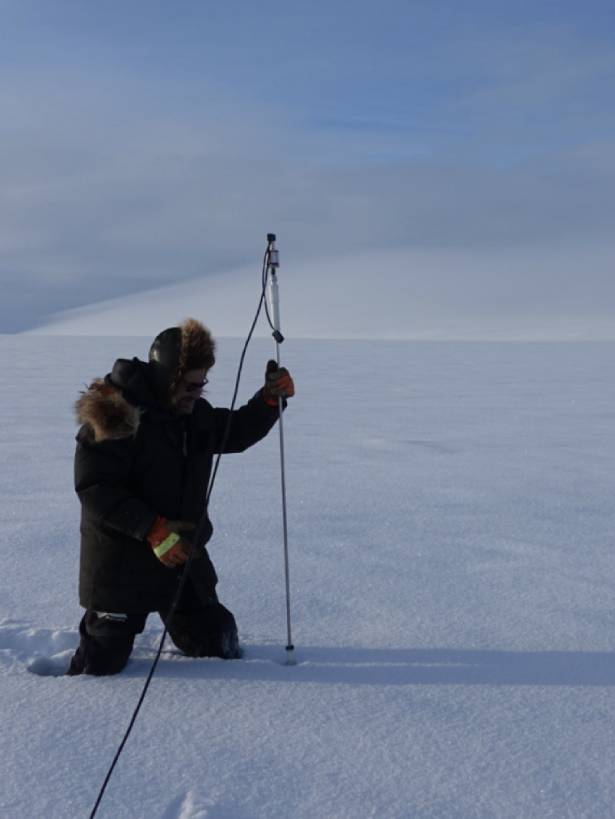 Matthew Sturm probes for snow depth.