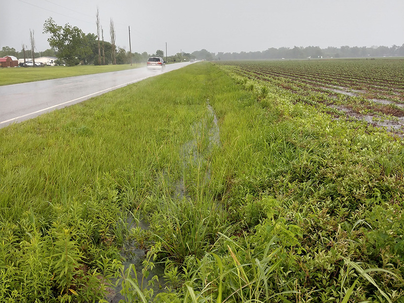 Roadside Ditches Are Effective at Nitrogen Removal - Eos