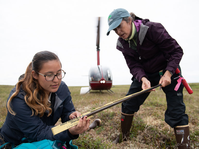 Two scientists measure soil in the Arctic