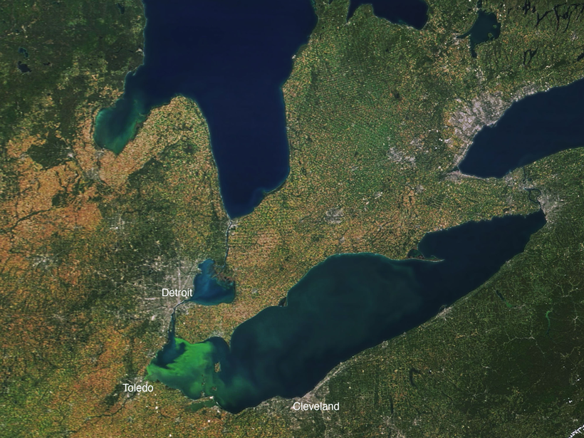 A satellite view of Lake Erie, with bright green algae in the western portion near Toledo, Ohio A satellite view of Lake Erie, with bright green algae in the western portion near Toledo, Ohio