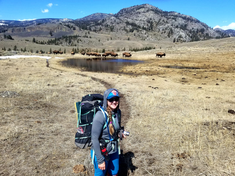 A woman stands in front of a small lake with a herd of bison passing in the background. A woman stands in front of a small lake with a herd of bison passing in the background.