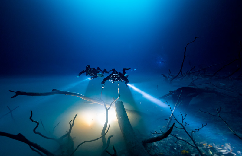 Two scuba divers shine flashlights on submerged trees as they explore near the bottom of a sinkhole.