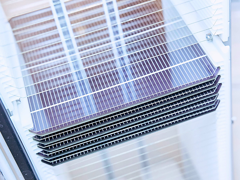 Trays of perovskite silicon solar cells sit in a clear laboratory case.