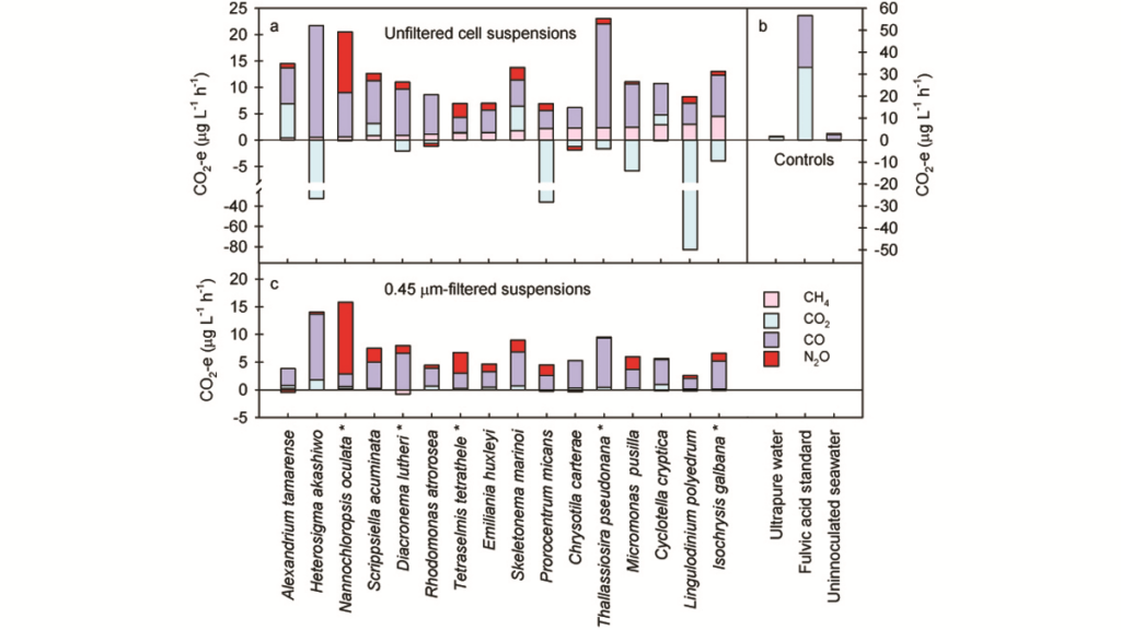 Plot showing UV-induced emissions weighted global warming potential in CO2 equivalent for each greenhouse gas emitted from cell suspensions of 16 species of marine phytoplankton.