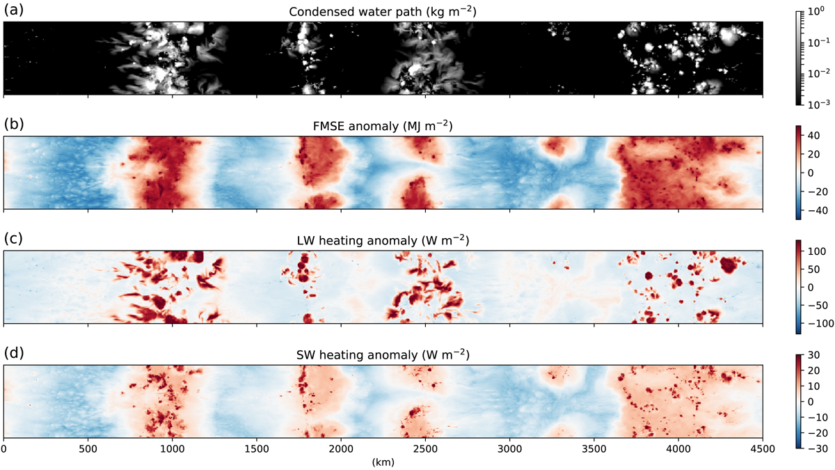 Set of four maps showing condensed water path, frozen moist static energy anomaly, longwave heating anomaly, and shortwave heating anomaly from the 300 K sea surface temperature simulation at day 100.