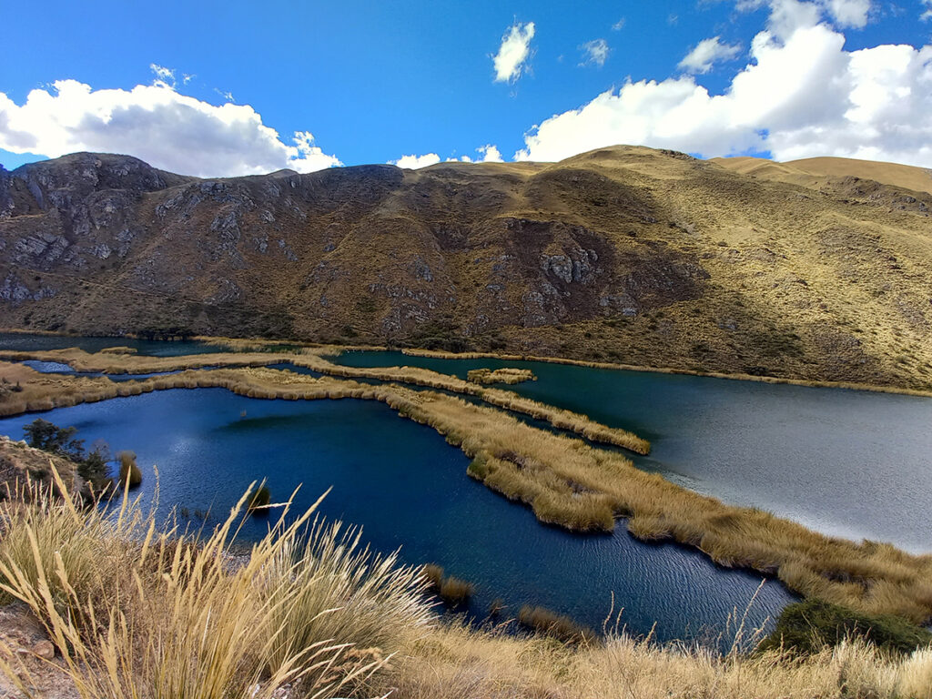 Glacier-fed lakes in a wetland area with mountains in the background