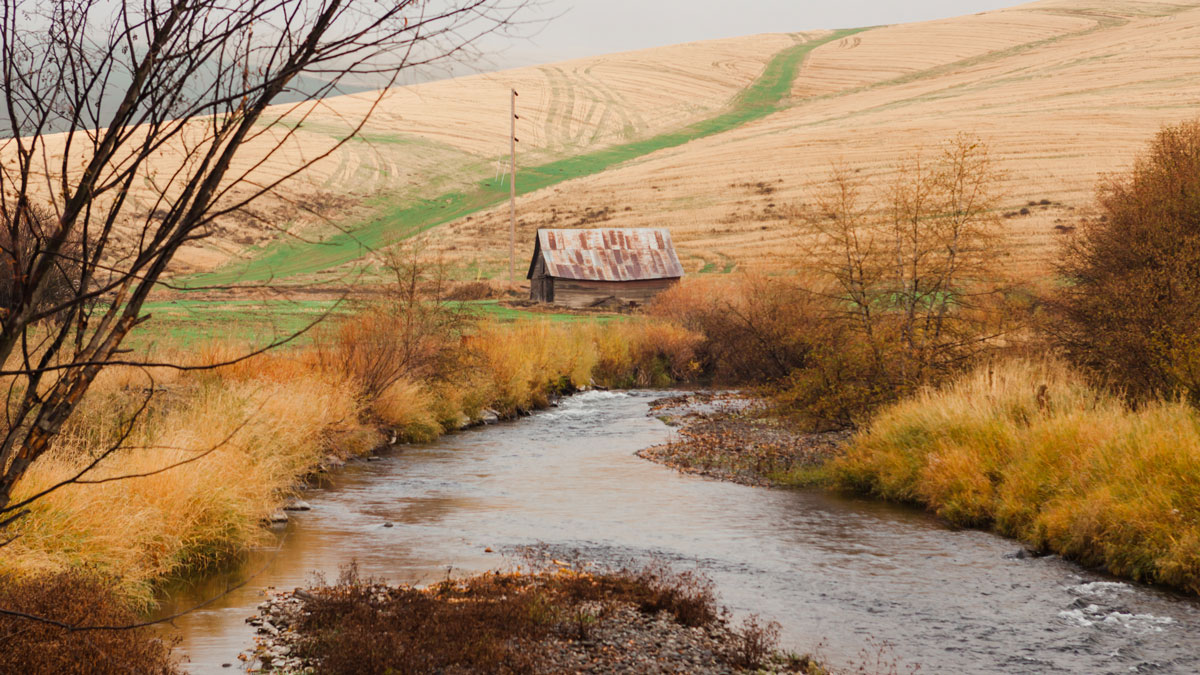 A stream in autumn with trees and vegetation along both banks, with an old barn and agricultural fields in the background.