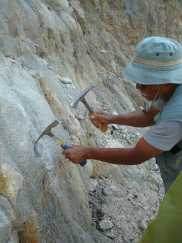 A geologist uses two rock hammers to dig into a cliff face.