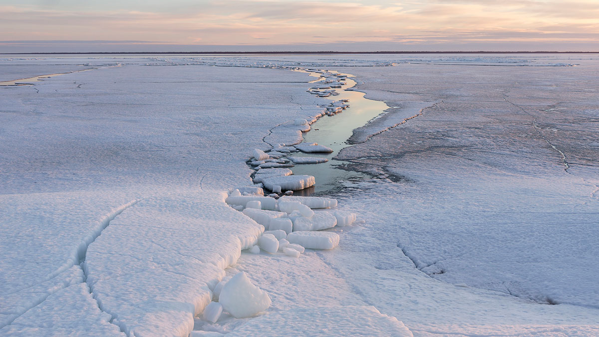 Aerial view of cracks in the sea ice.