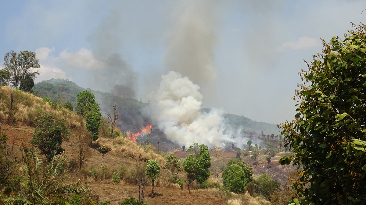 Slash-and-burn agriculture in Laos
