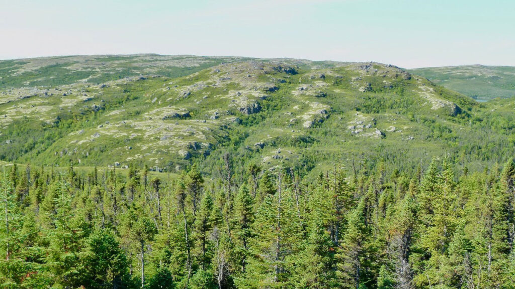 Dense green pine trees form the foreground. Gray rocks forming low-relief hills are in the middle distance, dotted with green trees, with a hazy blue sky in the background.