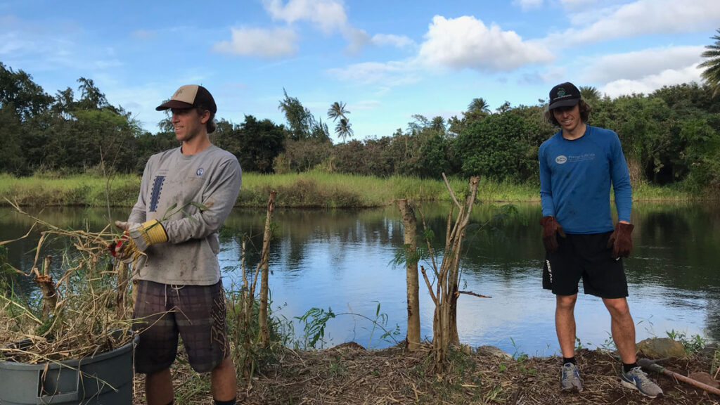 Vance Farrant and his older brother, Nakoa Farrant, clear invasive plant species from the side of Kalou, a historic Kanaka Maoli freshwater fishpond in Waiale‘e, Hawai’i.