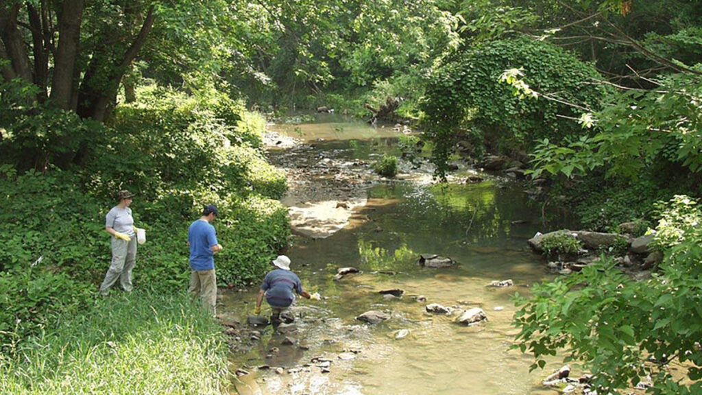 Water samples collected from Gwynns Falls stream in Baltimore