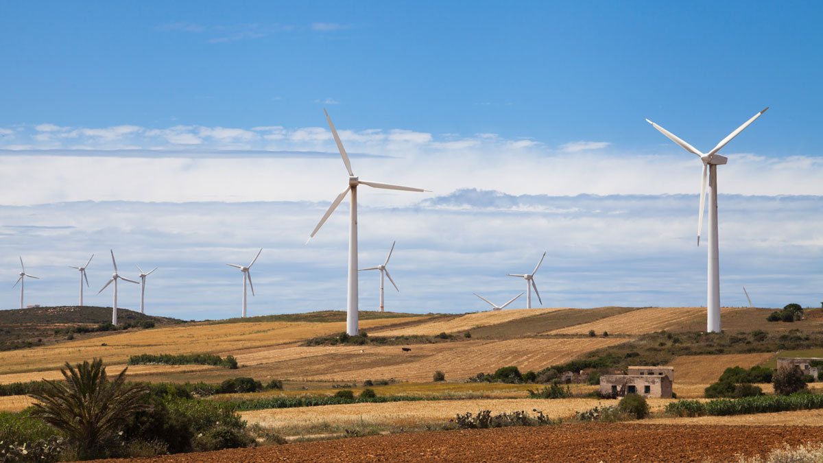 Wind turbines tower over agricultural fields in Tunisia.