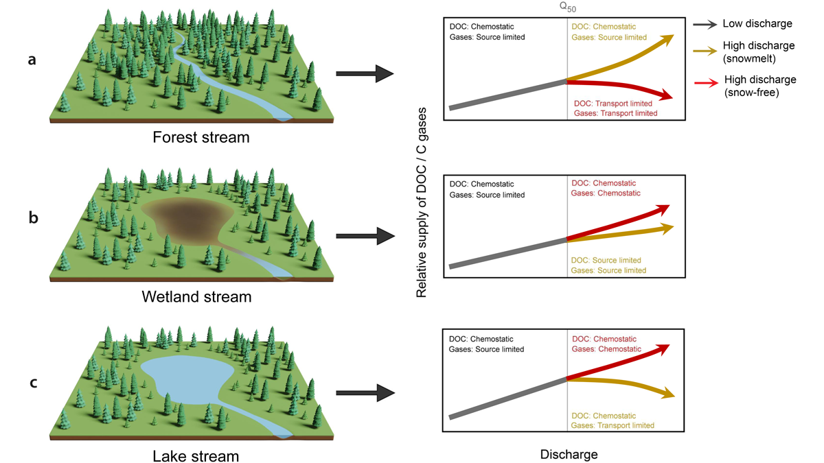 Conceptual diagram illustrating the seasonal shifts in the relative importance of downstream flux verses emission losses across headwaters with different land-water interfaces in the boreal landscape (from top to bottom: forest, wetland, and lakes.