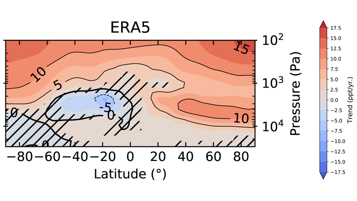 Trends in stratospheric fluorine species during the period 2004-2018.