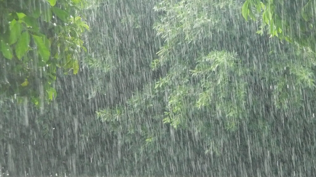 A picture of rainfall in a tropical rainforest.