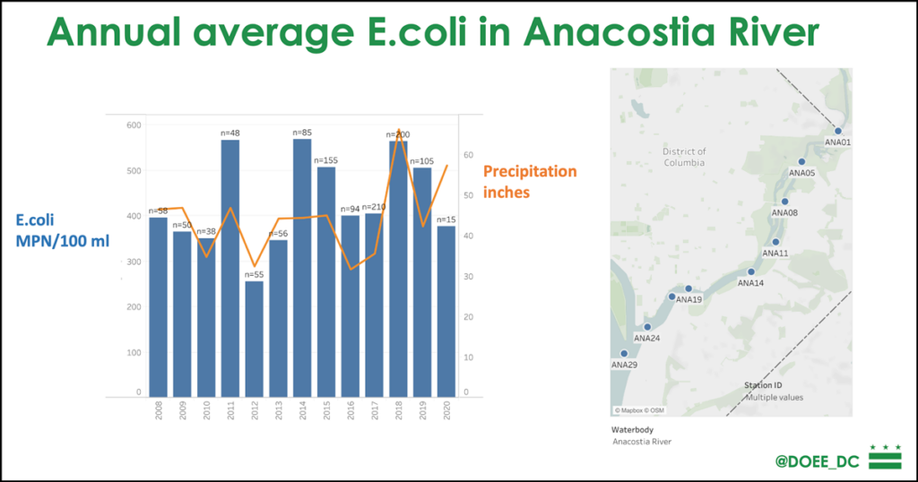 Graph comparing the annual average amount of E. coli in the Anacostia River with the region’s annual precipitation