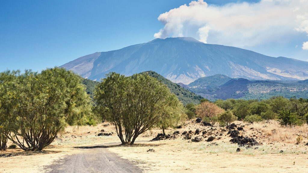 Trees with a view of Italy’s Mount Etna behind.