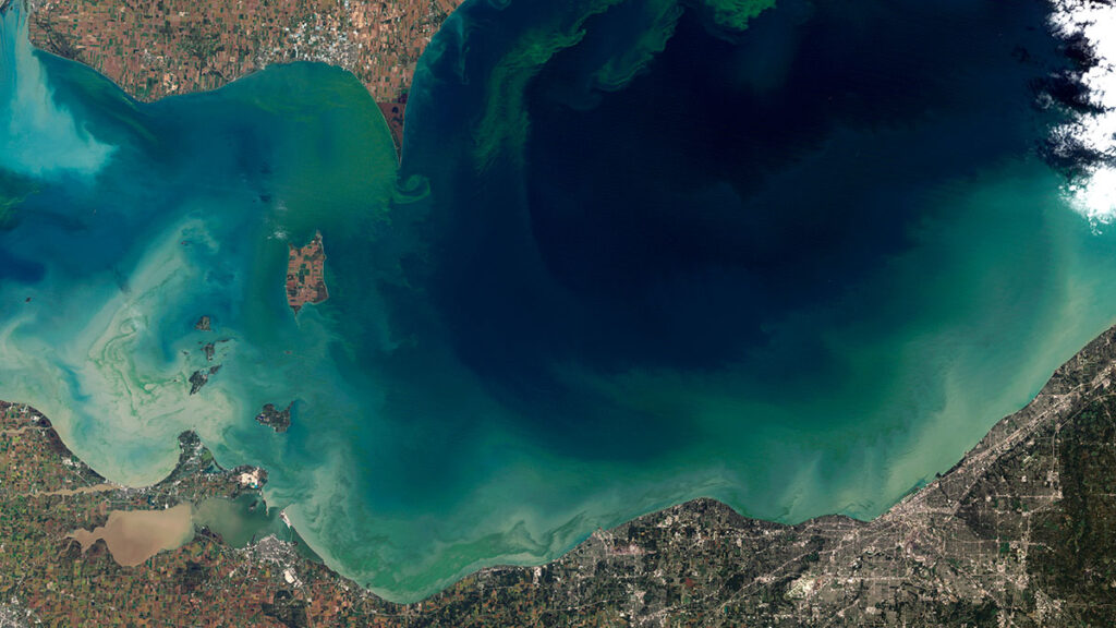 A satellite image of a bright green algae bloom in the dark blue waters of Lake Erie