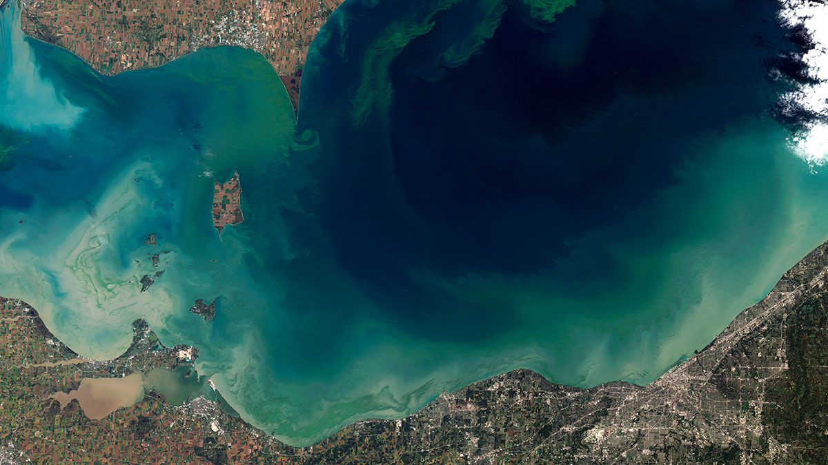 A satellite image of a bright green algae bloom in the dark blue waters of Lake Erie