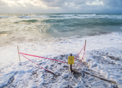 Water covers a turtle nest marked with a sign on a beach.