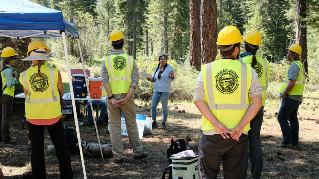 Rhianna Jones engages with the Mayala Wata Restoration Project in California.