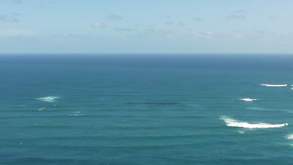 The meeting point of the Pacific Ocean and the Tasman Sea