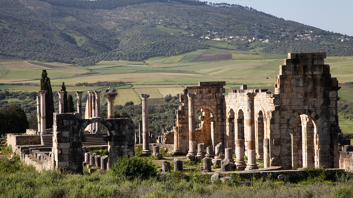 Roman ruins in the ancient city of Volubilis, Morocco