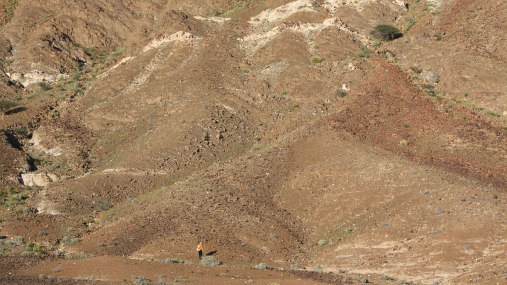 A hillside slope comprising exposed brown rock crossed by veins of light-colored rock