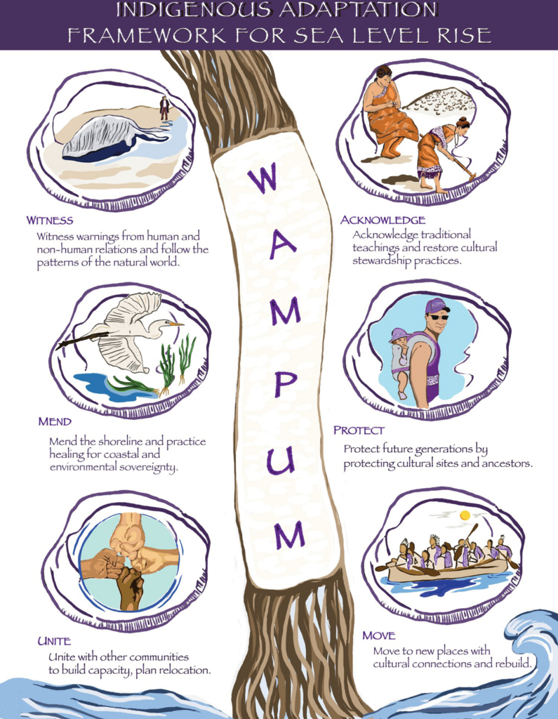 A graphic of the WAMPUM framework for adapting to sea level rise.