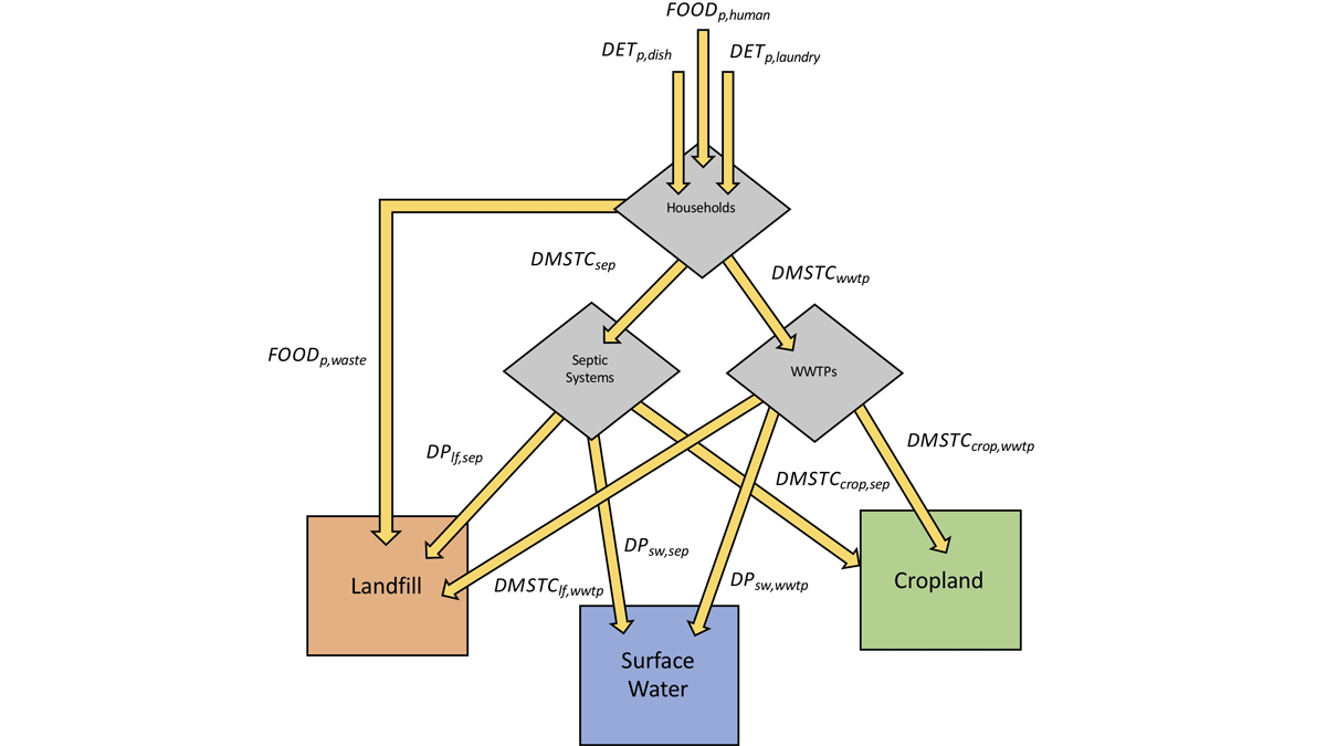 A conceptual model showing how phosphorous from individual household waste is transported to surface waters.