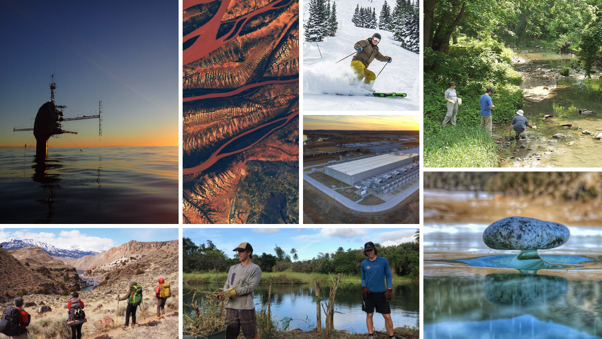 Collage of images from the best stories published by Eos in 2021